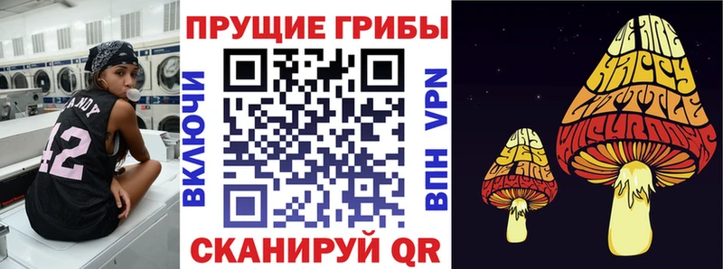 где можно купить наркотик Бокситогорск Галлюциногенные грибы Cubensis