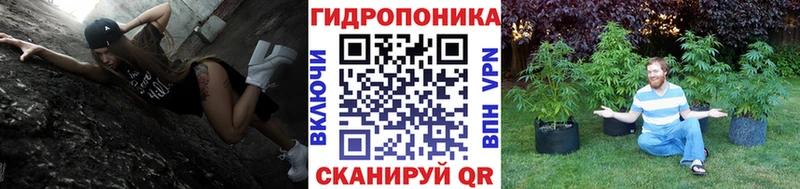 Каннабис SATIVA & INDICA Бокситогорск